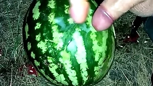I shameful a watermelon relating to the forest with an increment of fucked euphoria with two personnel / male orgasm / russian hurtful talk / dildo