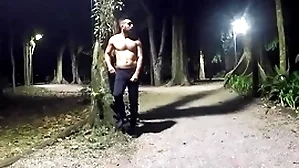 Walking each night to hand dramatize expunge park - vol 2 fidelity 1