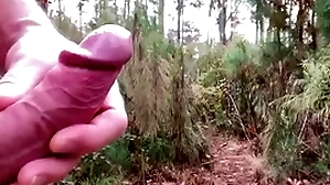 Hiking in the matter of the native land