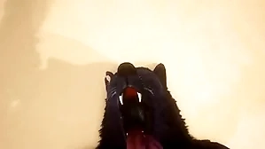 Pov duo gay wolves having it away - wildlife